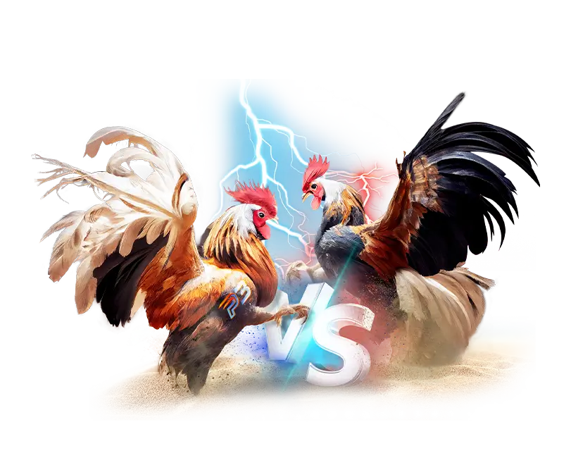 game da ga