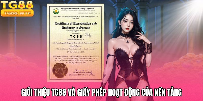 Giới thiệu TG88 và giấy phép hoạt động của nền tảng