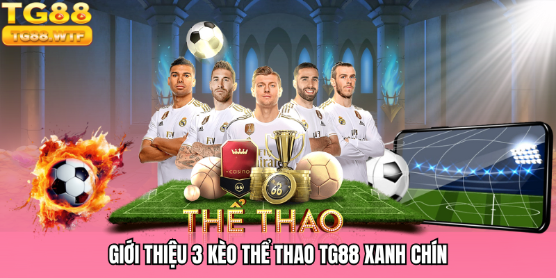 Giới thiệu 3 kèo thể thao TG88 xanh chín