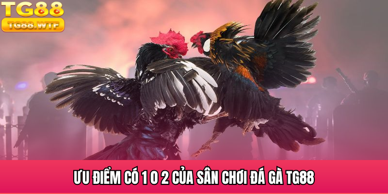 Ưu điểm có 1 0 2 của sân chơi đá gà TG88